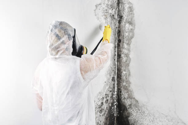 Best Commercial water damage restoration  in Three Forks, MT