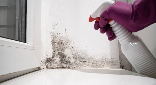 Best Commercial water damage restoration  in Three Forks, MT