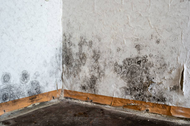 Water damage restoration process in Three Forks, MT